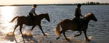 Reitferien in München?